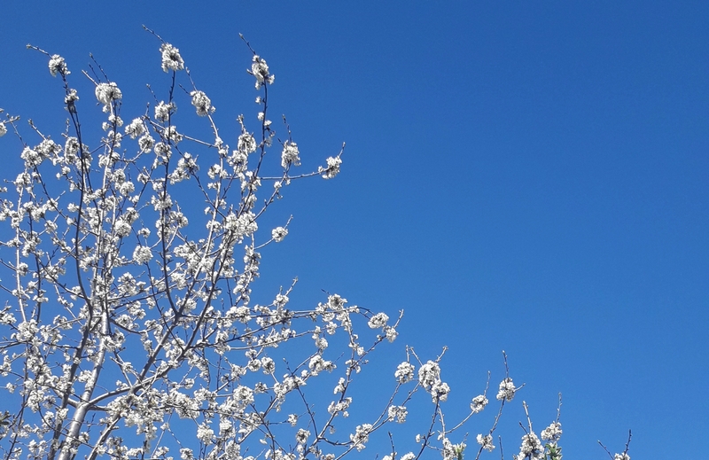 #VisMaVieDeRédacWeb… littéralement !